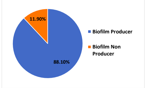 Pie chart showing Association of ESBL with Biofilm production