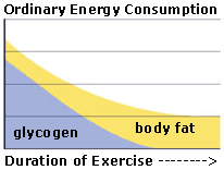 fa3ec7fa-smush-glycogen-graph1.gif