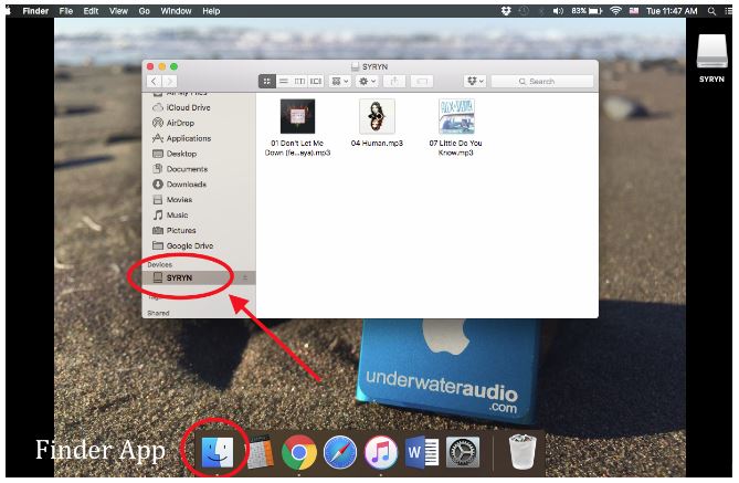 syrynrestore6