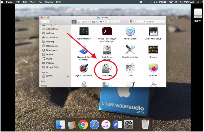 syrynrestore8