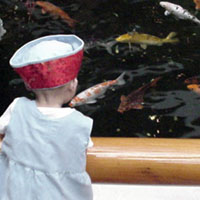 Mmmmmm&hellip;Koi&hellip;