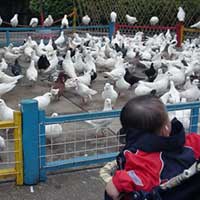 No kidding Dad? Grandpa used to kill these things for a living?