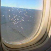 The excitement of the 13 &frac12; hour plane ride was only enhanced by the view.