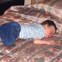 After a long day of paperwork, Matthew gets some well deserved rest.