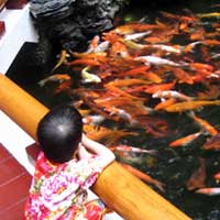 Olivia watches a feeding frenzy.