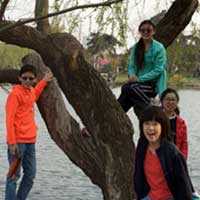 A beautiful day for a walk in the park.