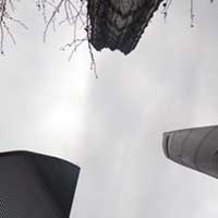 Tall buildings sprout up like weeds here in Shanghai.