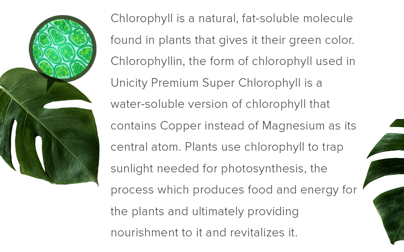 Super Chlorophyll » Unicity India