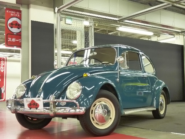 Used 1995 MT Volkswagen Beetle 不明