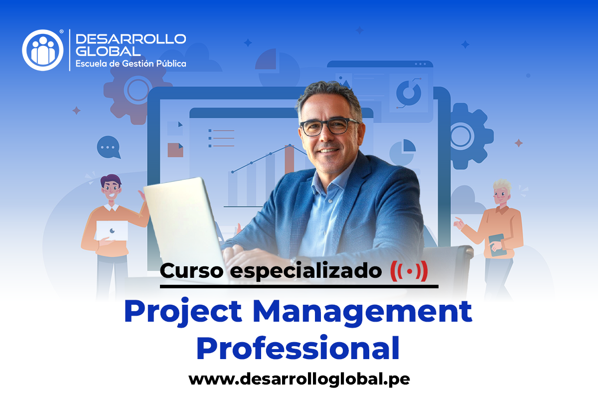 PROJECT MANAGEMENT PROFESSIONAL