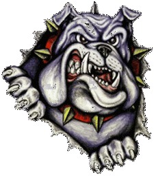 Bulldogs