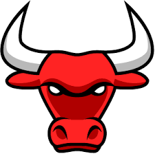 Bulls