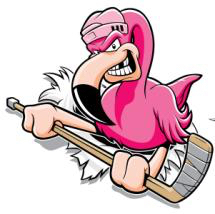The Flamingos
