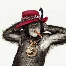 Funky Town Monkey Pimps