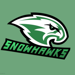 Snowhawks