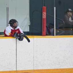 Kelly Reid