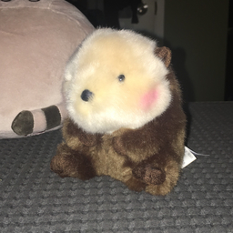Steve N