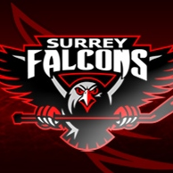Surrey Female Alumni Falcons