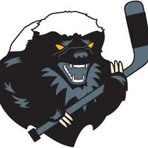 The Honeybadgers