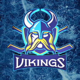 Vikings Hockey Team