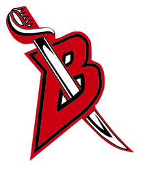 Blades Hockey Club 30+