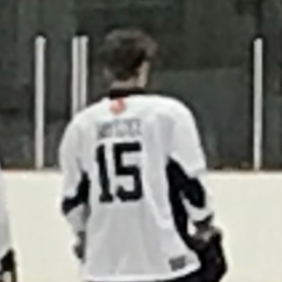 Max Mitzel