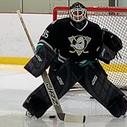 Pierre-david Gagne