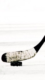 Andre Dupuis