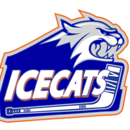 Ice Cats