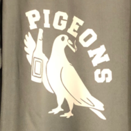 Pigeons