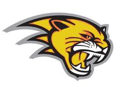 Cougars