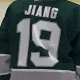 JiAN JiANG