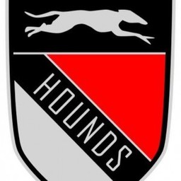 Greyhounds