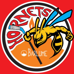 HC Hornets