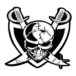 Raiders