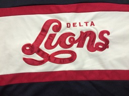 Delta Lions