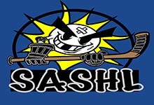 Sylvania Adult Safe Hockey League