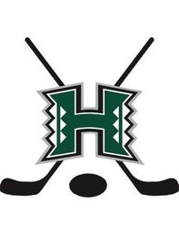 Hawaii 5-Hole