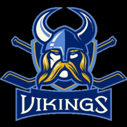 Vikings Hockey Team