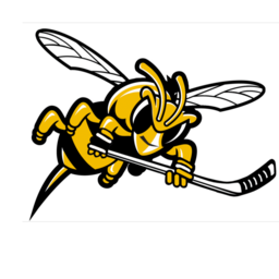 4 Blackcomb Bees