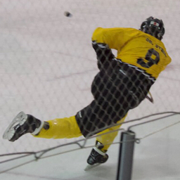 Thomas Coomes
