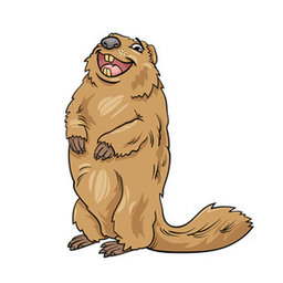 Marmots