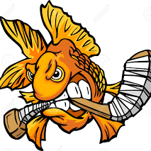 Phighting Phish