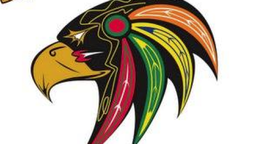Hawks