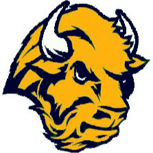 Aspire Performance Bisons
