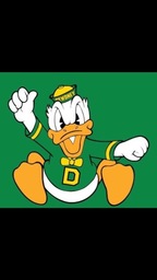 Ducks