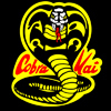 Cobra Kai 2