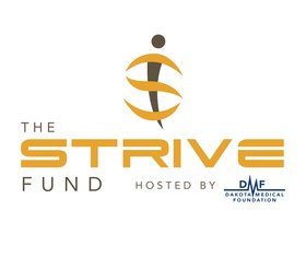 DMF - Strive Fund