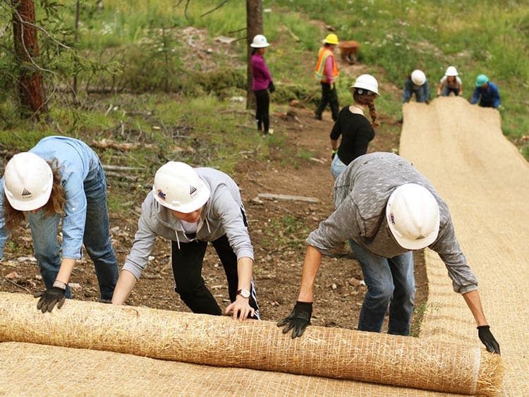 up with people travelers volunteering in nature outdoors