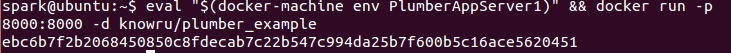 docker run in a remote host Docker Run